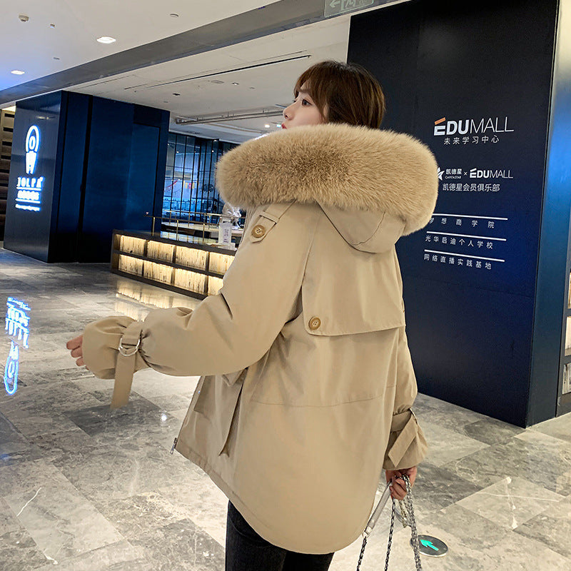 Windbreaker Women's Winter Jacket