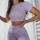 Seamless Yoga Sport Set Leggings Short Sleeve Tops