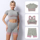 Bra With Cup Racer Back Striped Seamless Short-Sleeved Shorts Yoga Wear