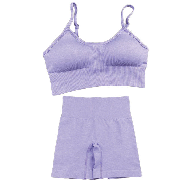 Seamless High Waist Yoga Set